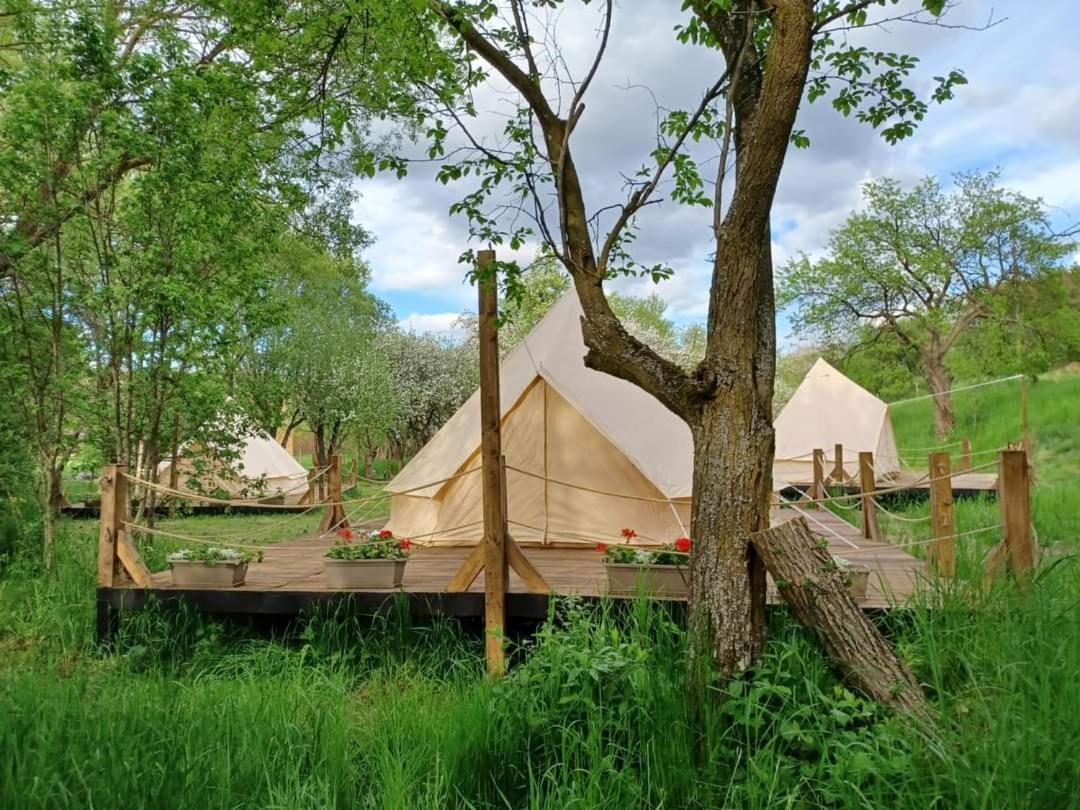 My Lake Glamping Dalnic Extérieur photo