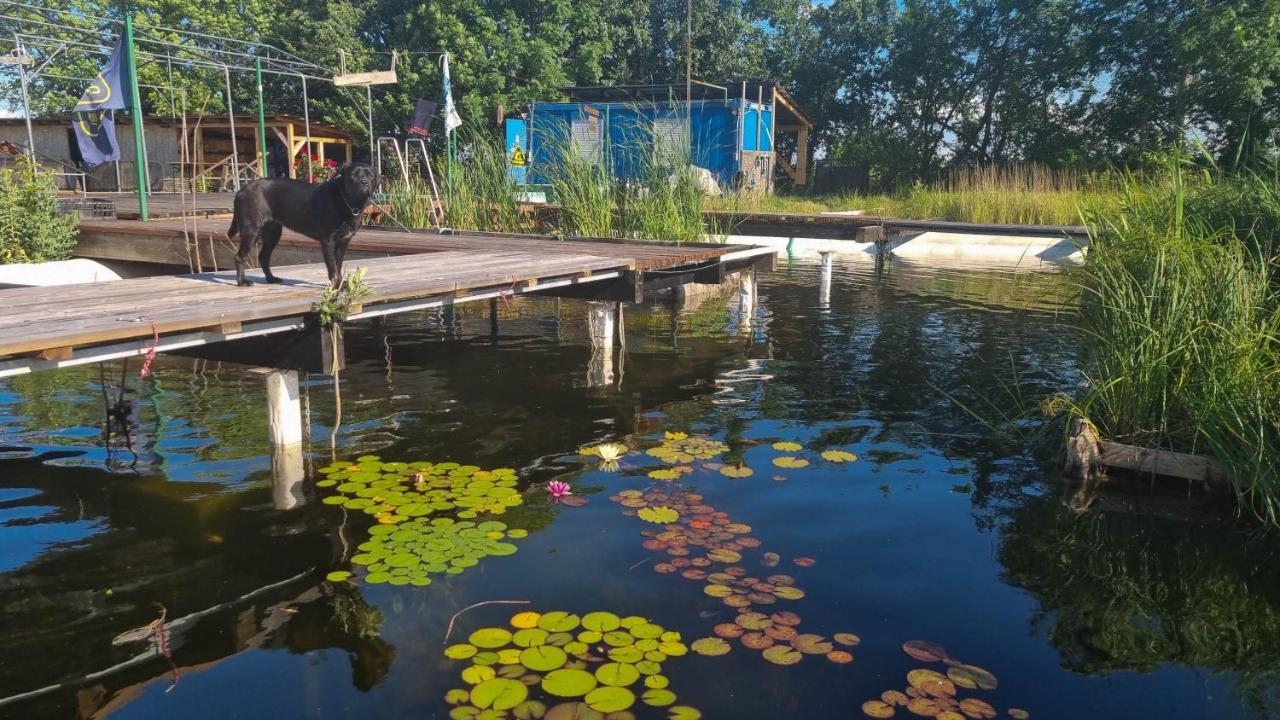 My Lake Glamping Dalnic Extérieur photo