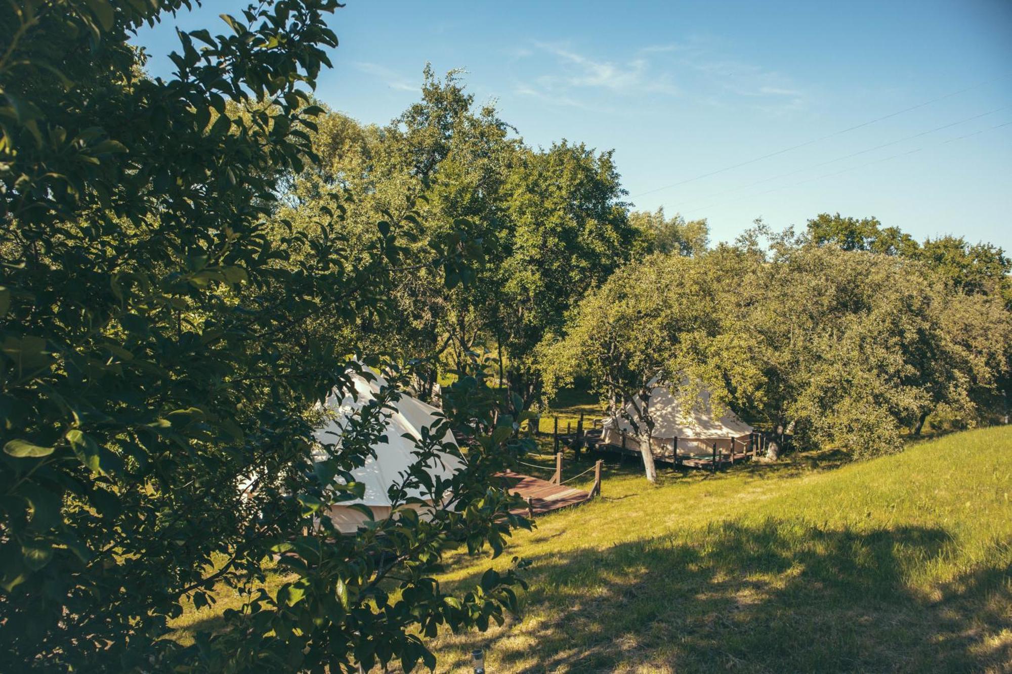 My Lake Glamping Dalnic Extérieur photo