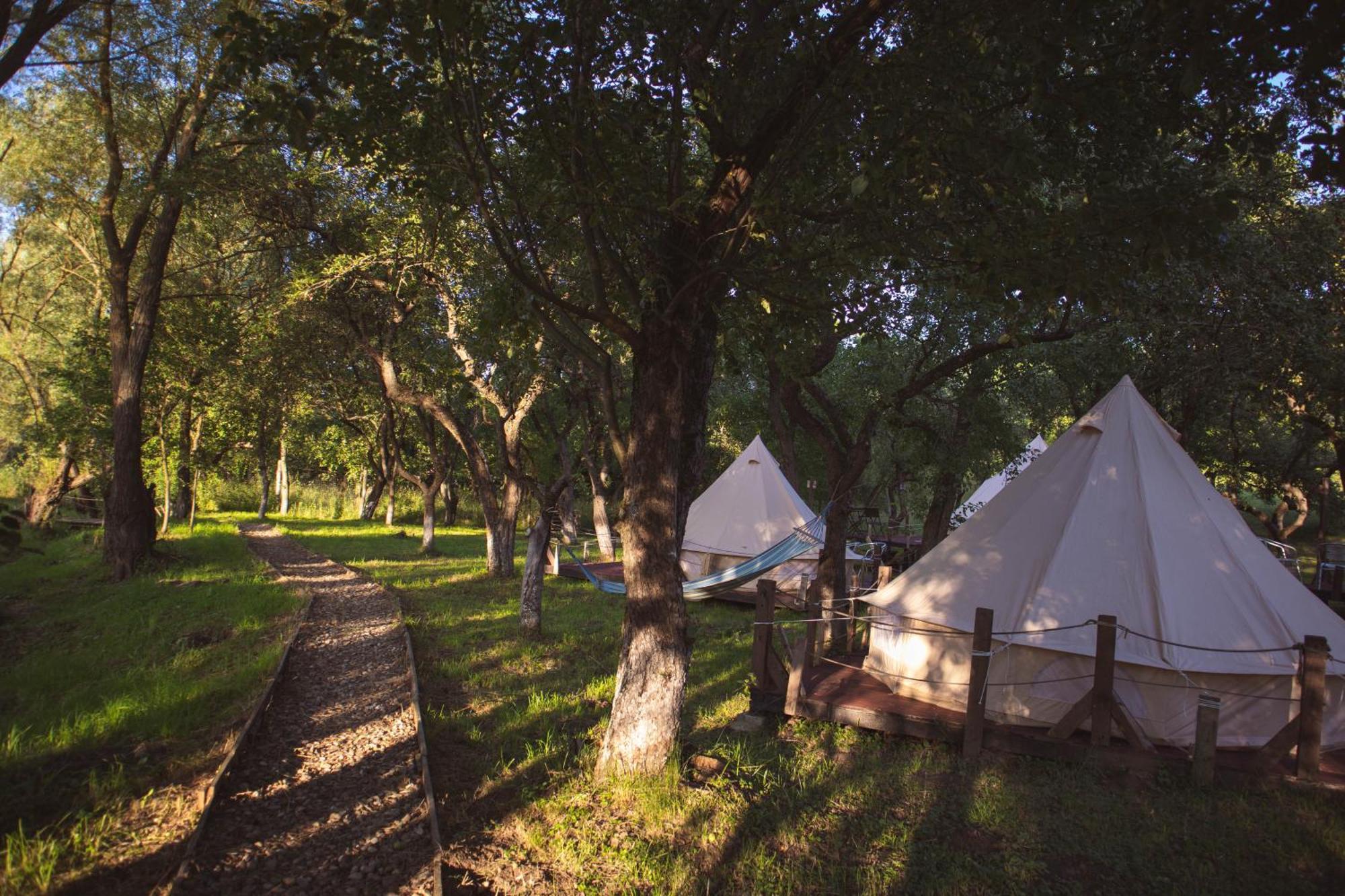 My Lake Glamping Dalnic Extérieur photo