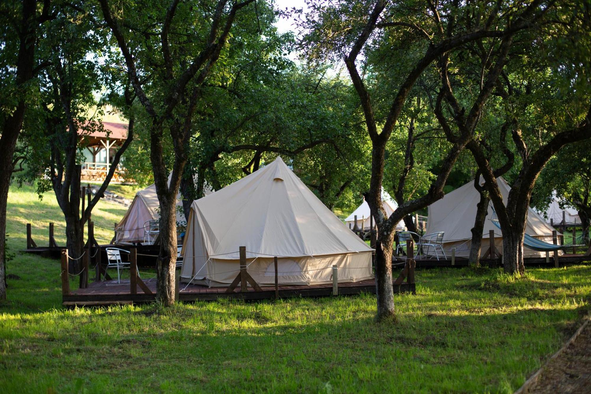 My Lake Glamping Dalnic Extérieur photo