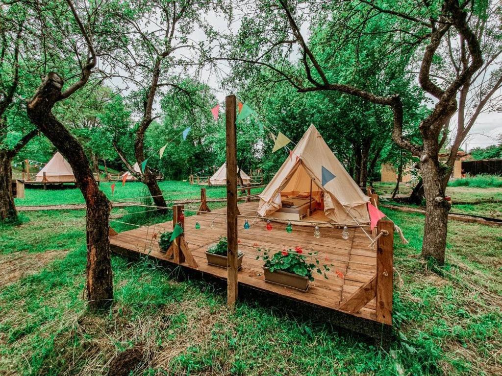 My Lake Glamping Dalnic Extérieur photo